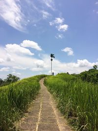 Footpath leading to country road