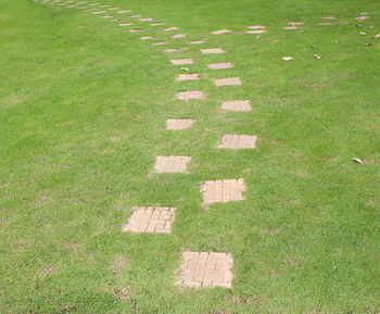 Pathway of stone bricks in a grass field garden