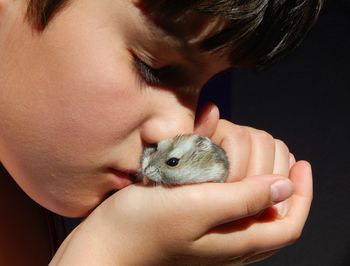 Close-up of boy holding hamster