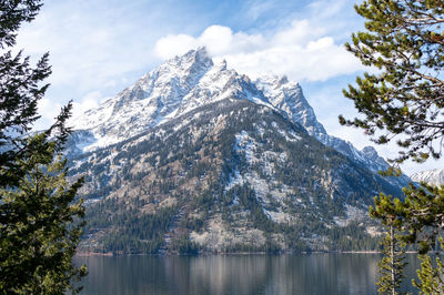 Teton mountain range reflecting in jenny lake in wyoming