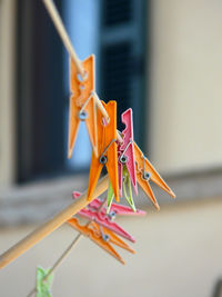 Close-up of toys hanging on clothesline