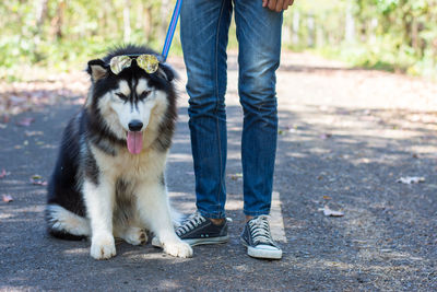 Low section of person with dog