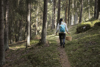 Woman picking mushrooms