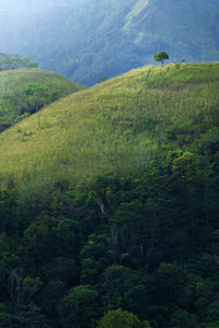 Scenic view of landscape