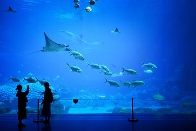 Friends standing by fish in aquarium