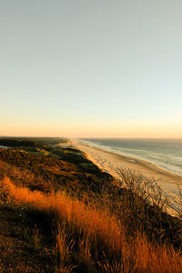 Scenic view of sea against clear sky during sunset