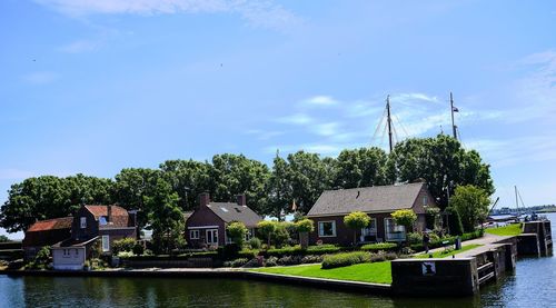 Plants and trees by river against buildings