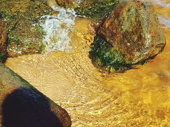 Close-up high angle view of water