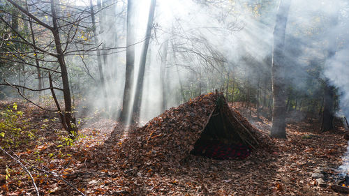 Bushcraft survival shelter in the wilderness. campsite and campfire in the woods.