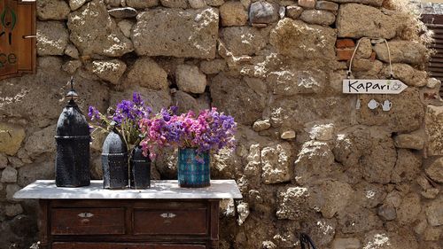 Flower petals on brick wall