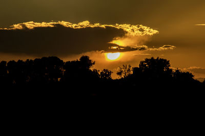 Silhouette trees against sky during sunset