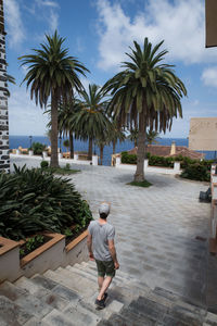 Rear view of man walking on palm trees