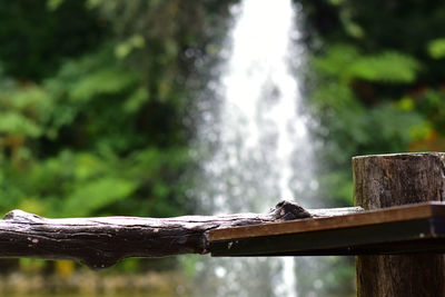 Close-up of wooden railing against waterfall in forest