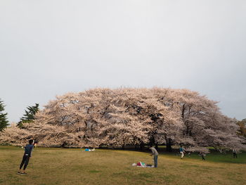 Scenic view of grassy field against sky