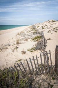 Scenic view of beach against sky