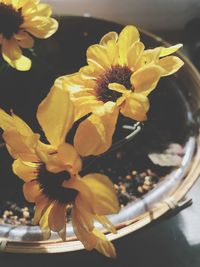 Close-up of yellow flower in vase on table