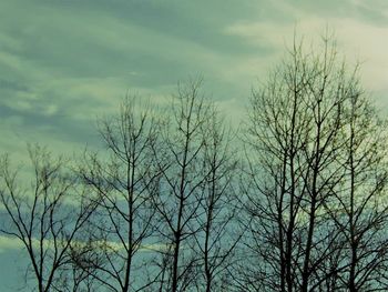 Low angle view of bare trees against cloudy sky