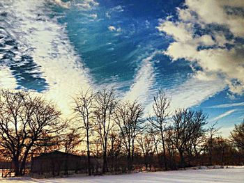 Bare trees against sky at sunset