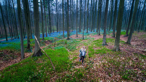 People walking in forest