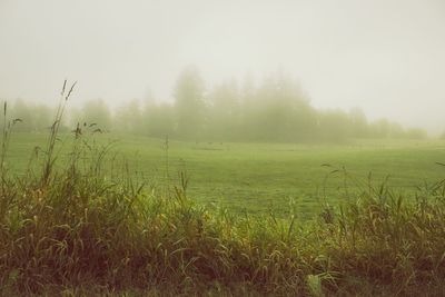 Scenic view of grassy field against sky during foggy weather