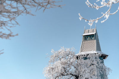 Low angle view of tree and building against sky