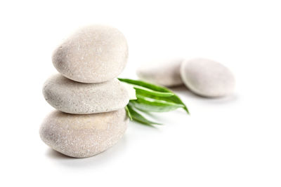 Close-up of food on white background