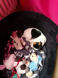 High angle view of baby sleeping in toy