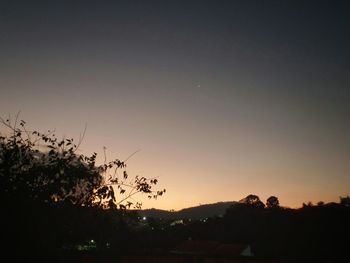 Silhouette of trees at sunset