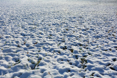 A field with a lot of white snow and some green blades of grass