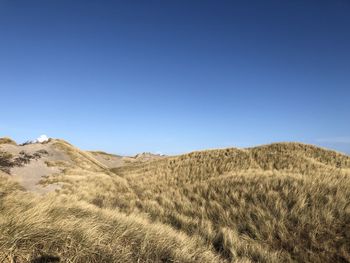 Scenic view of field against clear blue sky