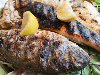 Close-up of fish on barbecue