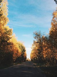Empty road along trees