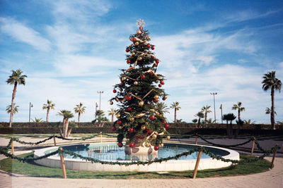 Palm trees against sky