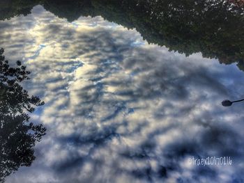 Low angle view of trees against sky