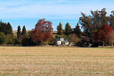 Trees growing on field against sky during autumn