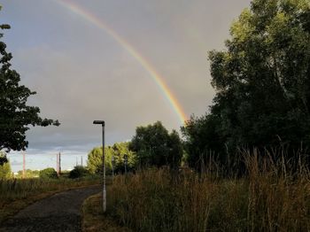 Scenic view of rainbow over trees on field against sky