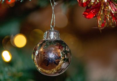 Close-up of christmas decoration hanging on tree