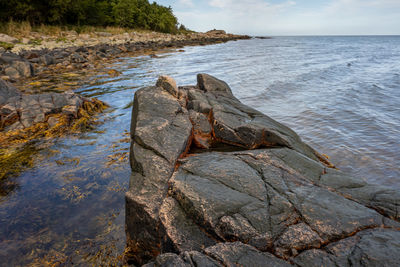 Scenic view of rocks on beach against sky