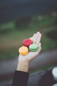 Close-up of hand holding multi colored candies