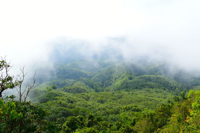 Scenic view of foggy weather