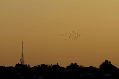 Birds flying in sky at sunset