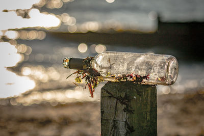 Washed up beer