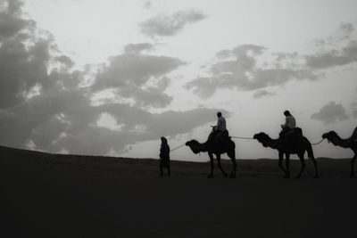 Silhouette people riding on desert