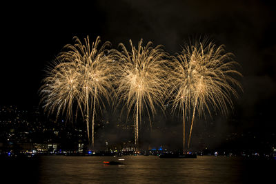 Firework display at night