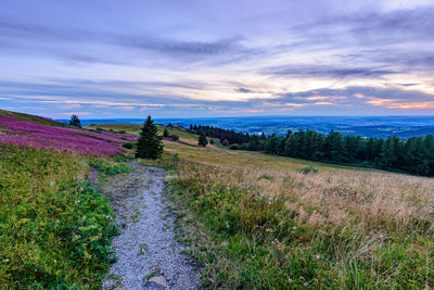 Scenic view of field against sky during sunset