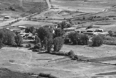 Scenic view of agricultural field