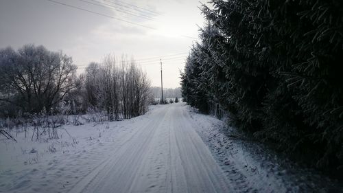 Road passing through landscape