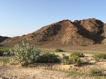 Scenic view of landscape against clear sky