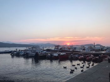 Boats moored in harbor at sunset