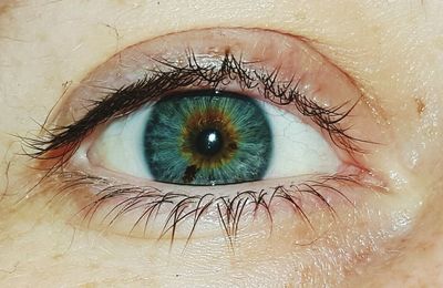 Close-up of human eye